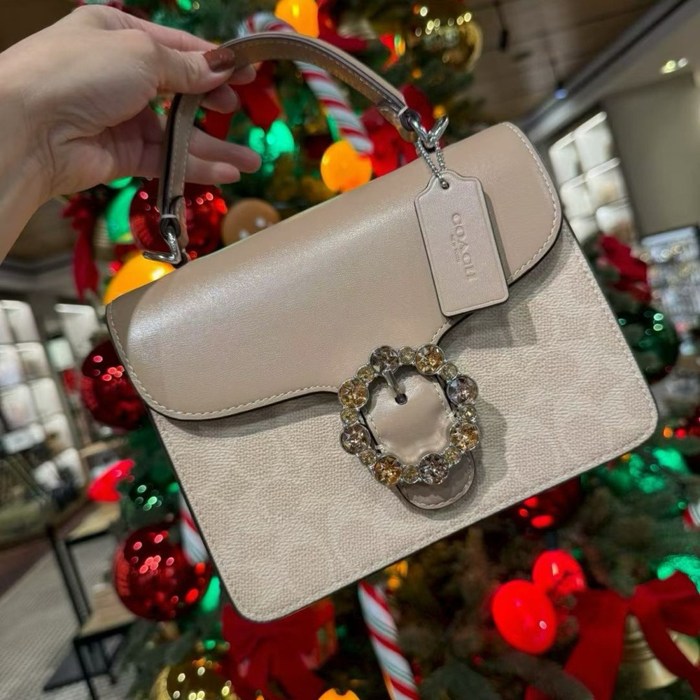 NWT Coach Courtney Top Handle Bag
In Signature Canvas